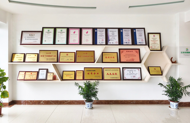 Zhejiang Bioclean Machinery Technology Co., Ltd manufacturer production line